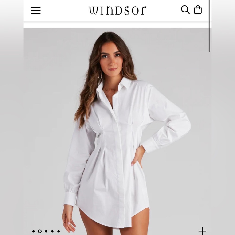 Windsor button up dress